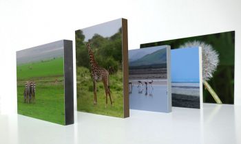 Fotoblokken gekleurde boorden