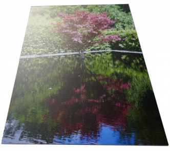 Foto op alu dibond mat