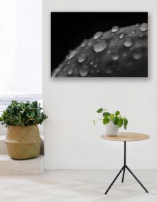Foto op alu dibond plaat met ophangsysteem