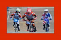 Rode passe-partout